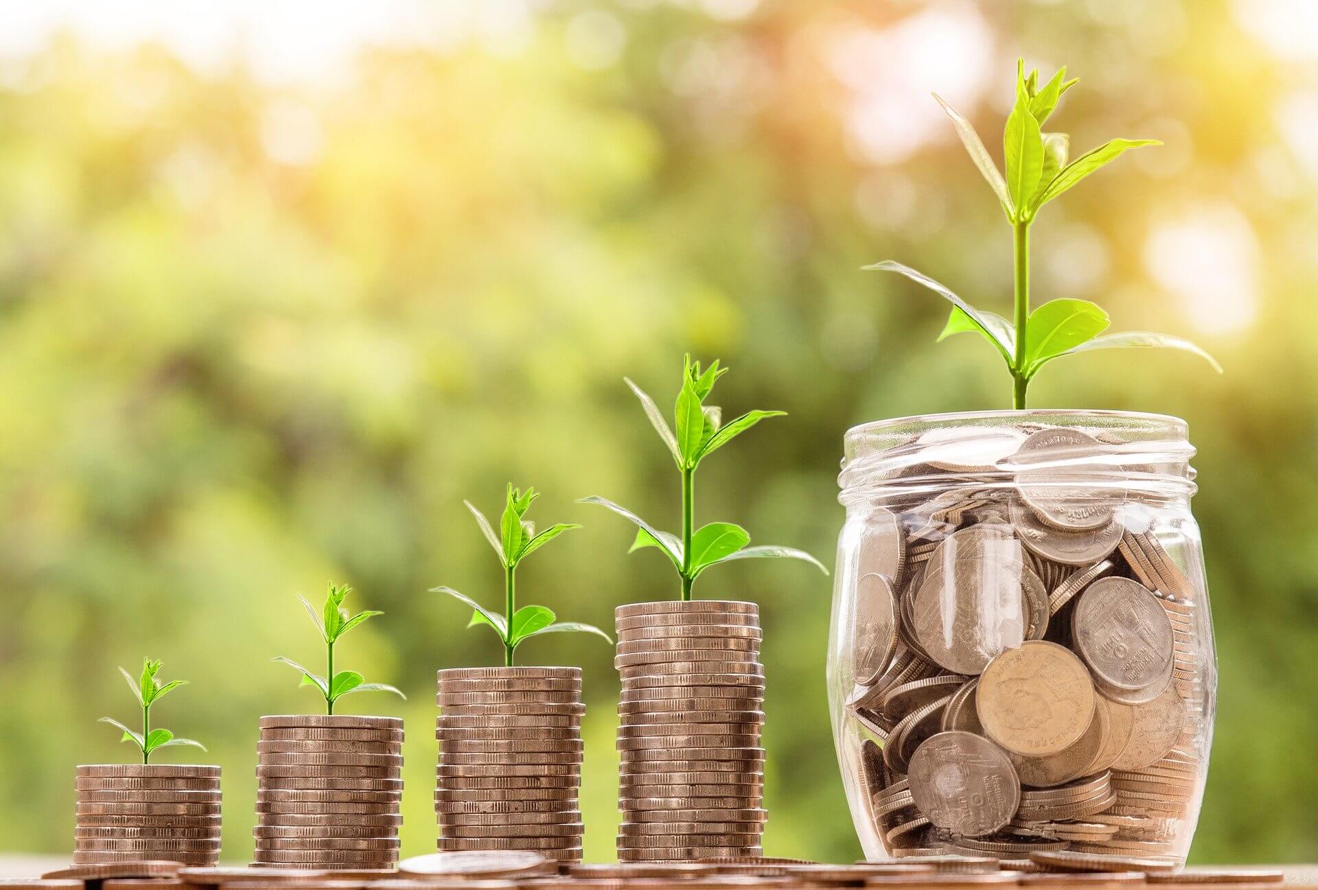 Savings and Investment